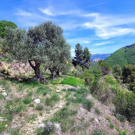 La Maison De Ninia Hébergement de vacances Digne-les-Bains