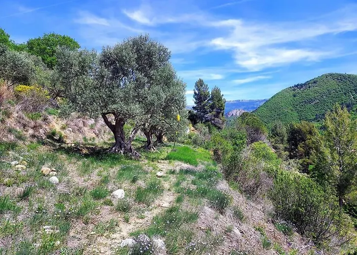 La Maison De Ninia Vakantiehuis Digne-les-Bains